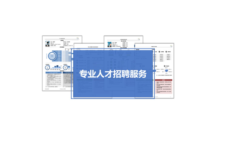 北京鸿域信息咨询集团有限公司